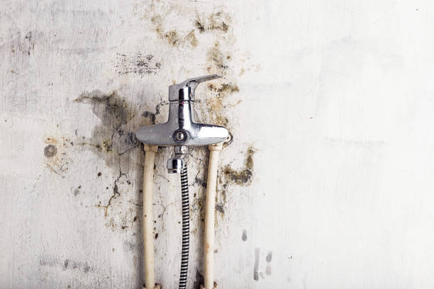 Best Bathroom Mold Remediation in Sea Girt, NJ